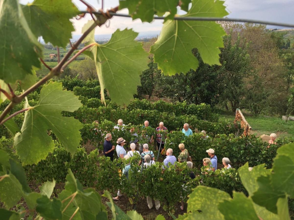 פראסקאטי Merumalia Wine Resort מראה חיצוני תמונה