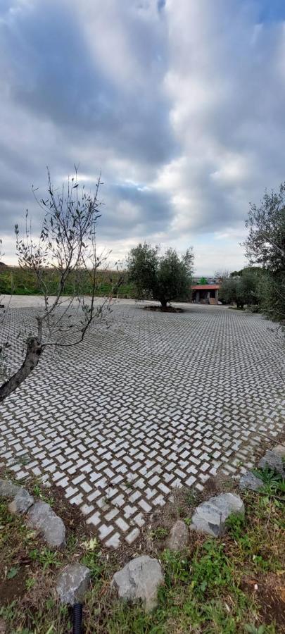 פראסקאטי Merumalia Wine Resort מראה חיצוני תמונה