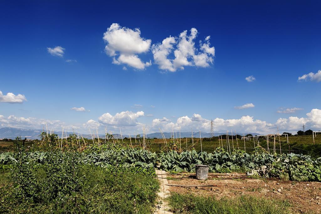 פראסקאטי Merumalia Wine Resort מראה חיצוני תמונה