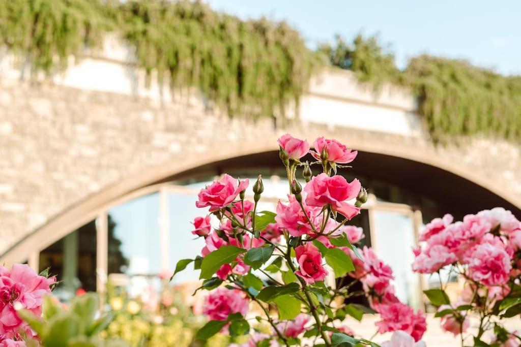 פראסקאטי Merumalia Wine Resort מראה חיצוני תמונה