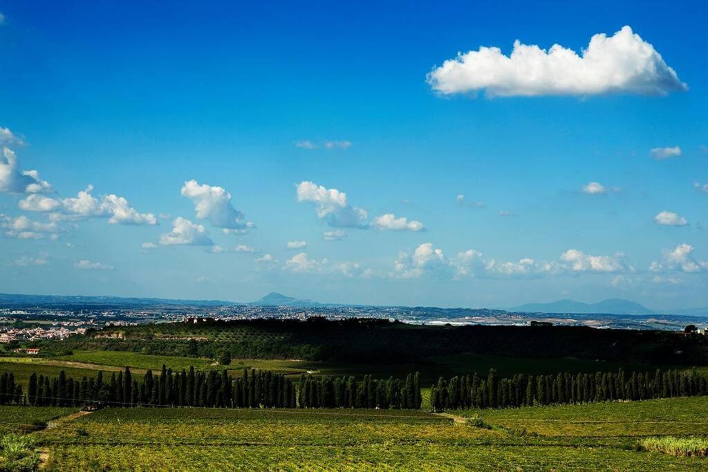 פראסקאטי Merumalia Wine Resort מראה חיצוני תמונה