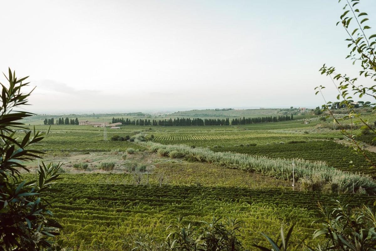 פראסקאטי Merumalia Wine Resort מראה חיצוני תמונה