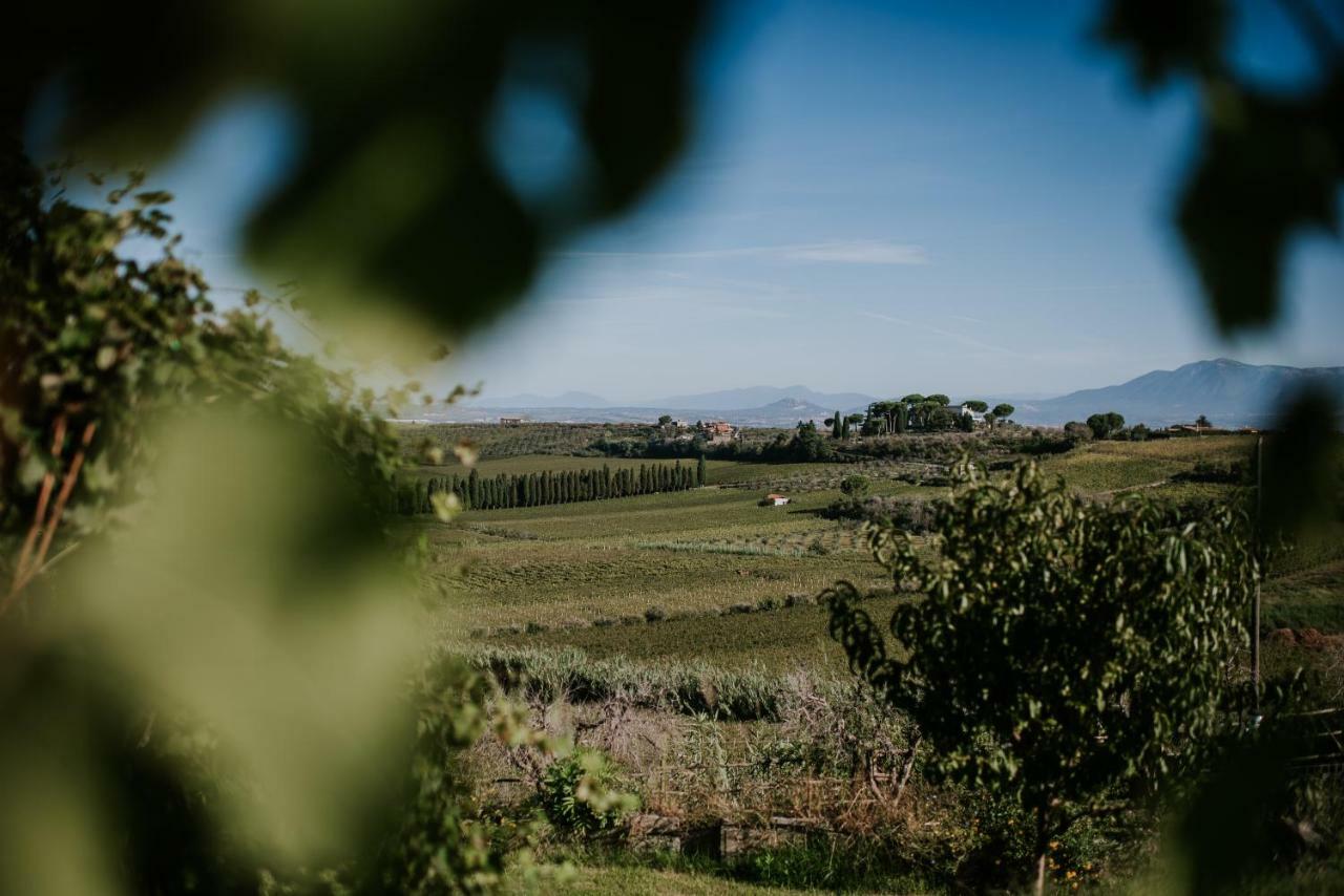 פראסקאטי Merumalia Wine Resort מראה חיצוני תמונה